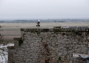_LEP1006