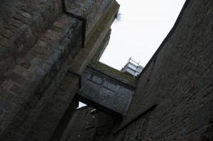 _LEP1019