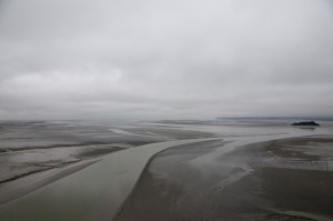 _LEP1036
