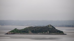 _LEP1098