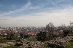 _LEP1291