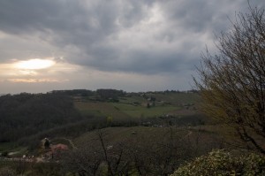 _LEP1367