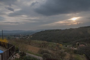_LEP1371