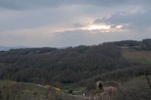 _LEP1408