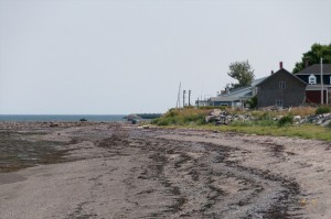 _LEP5523 - Notre "beach" à marée basse!