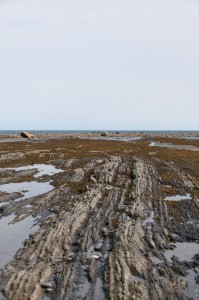 _LEP5534