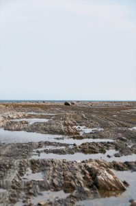 _LEP5553