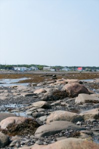 _LEP5558