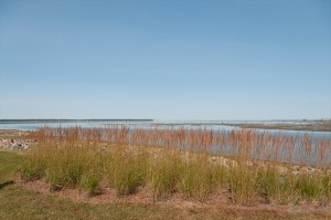 _LEP5878 - Petit arrêt à Rimouski!  Au moins là on a droit aux chiens!