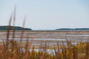 _LEP5898