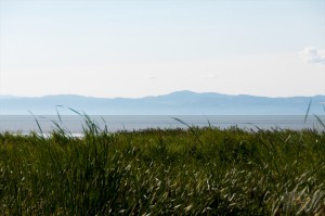 _LEP5926