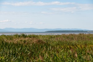 _LEP5927