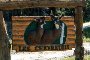 On retrouve beaucoup de ces enseignes ou sculptures créés par des artistes locaux