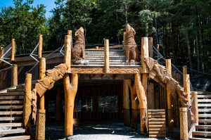 Observatoire des loups gris