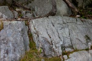Un chasseur de caribous?